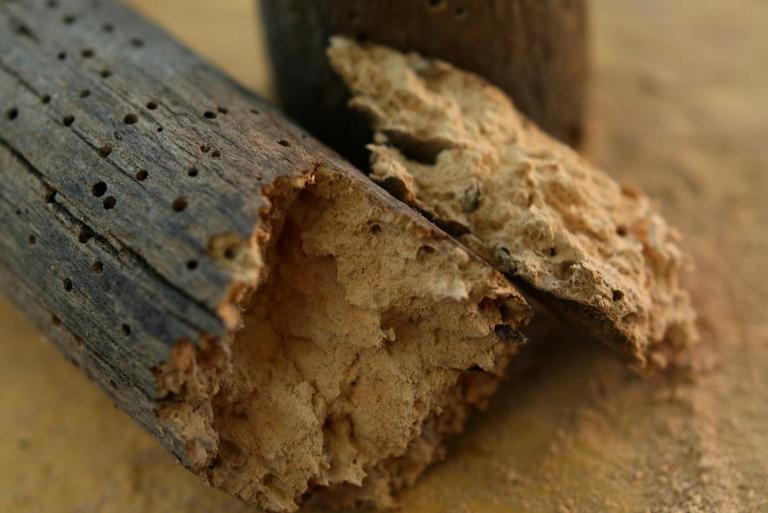 Une restauration de charpente ancienne est-elle nécessaire à Oignies ?
